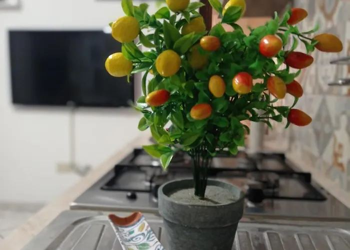 Felix Felicis Catania